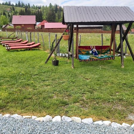 Arieşeni Casa Ralucaヴィラ エクステリア 写真