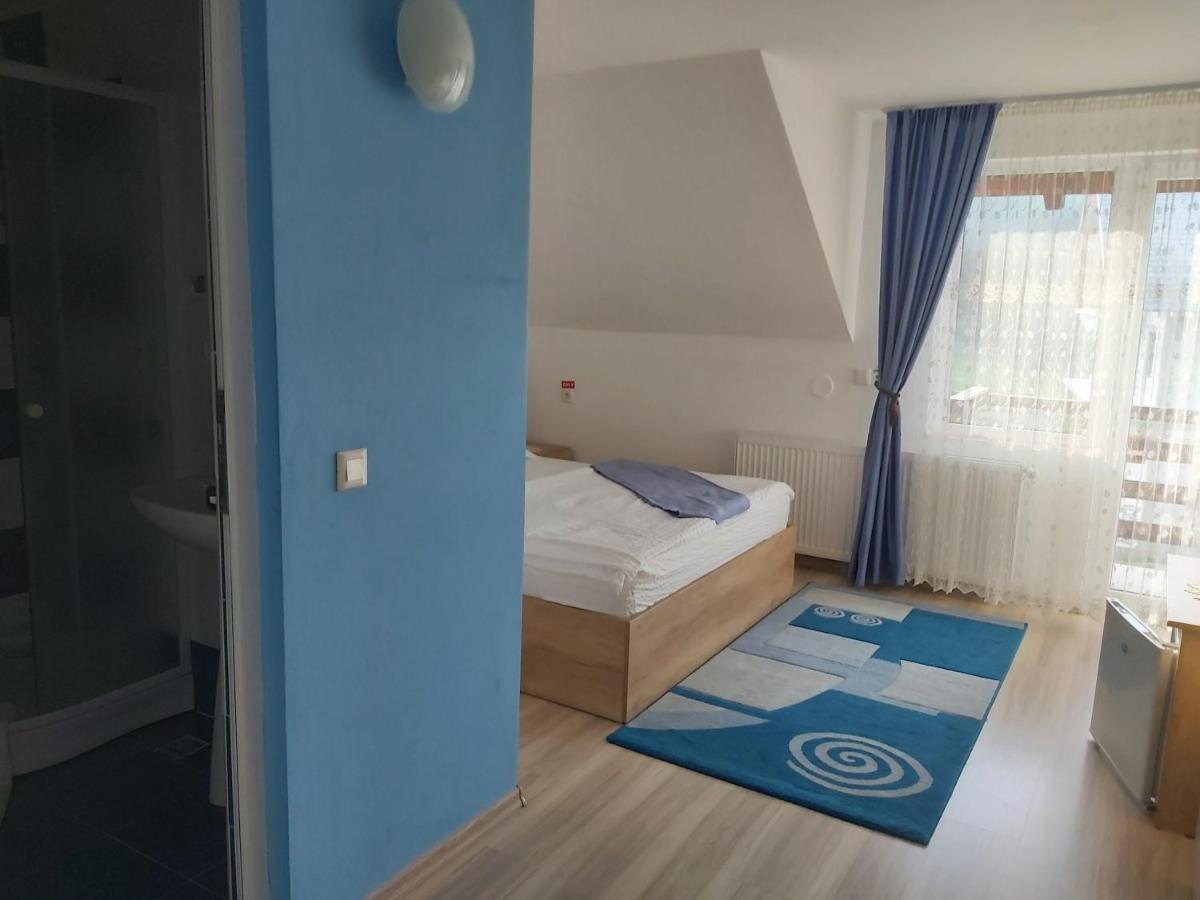 Arieşeni Casa Ralucaヴィラ エクステリア 写真