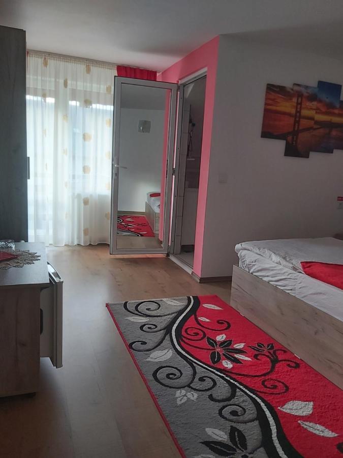 Arieşeni Casa Ralucaヴィラ エクステリア 写真
