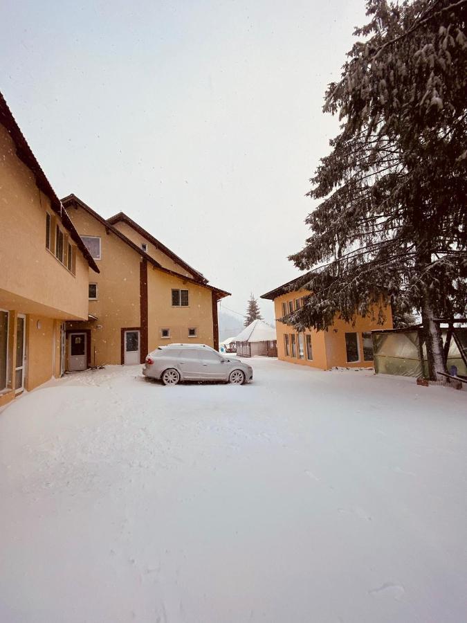 Arieşeni Casa Ralucaヴィラ エクステリア 写真