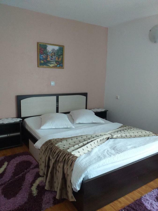 Arieşeni Casa Ralucaヴィラ エクステリア 写真